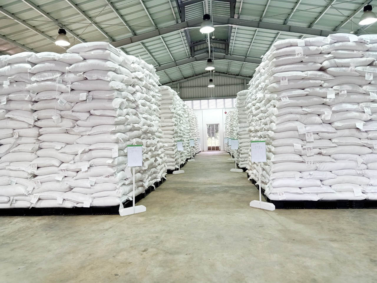 Suppliers of grains in Africa, Middle East & Asia